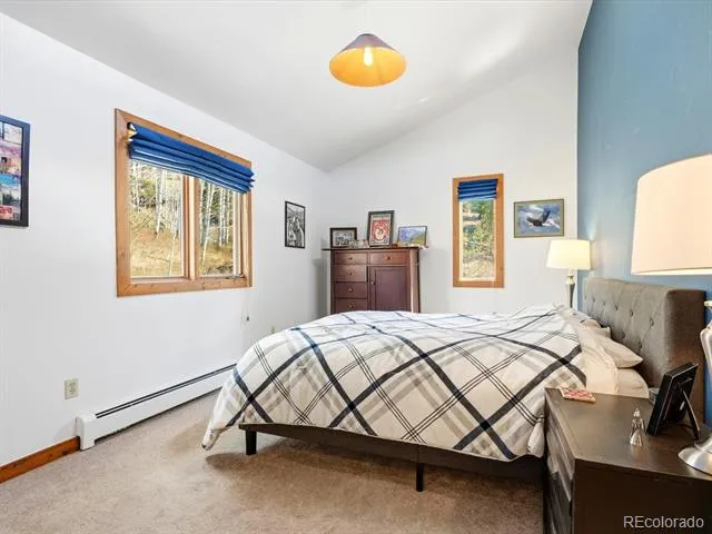 1170 Apex Valley Road Black Hawk, CO 80422