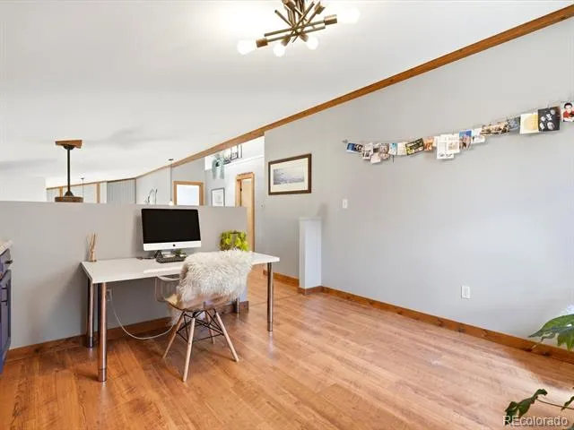 1170 Apex Valley Road Black Hawk, CO 80422