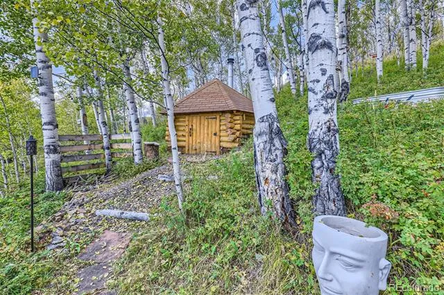 1170 Apex Valley Road Black Hawk, CO 80422