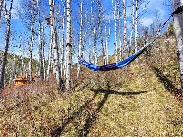 1170 Apex Valley Road Black Hawk, CO 80422