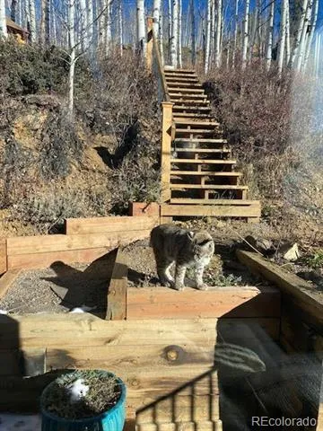 1170 Apex Valley Road Black Hawk, CO 80422