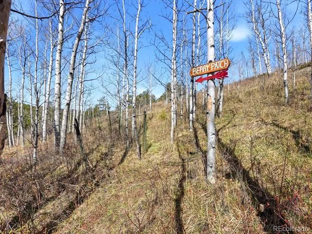 1170 Apex Valley Road Black Hawk, CO 80422