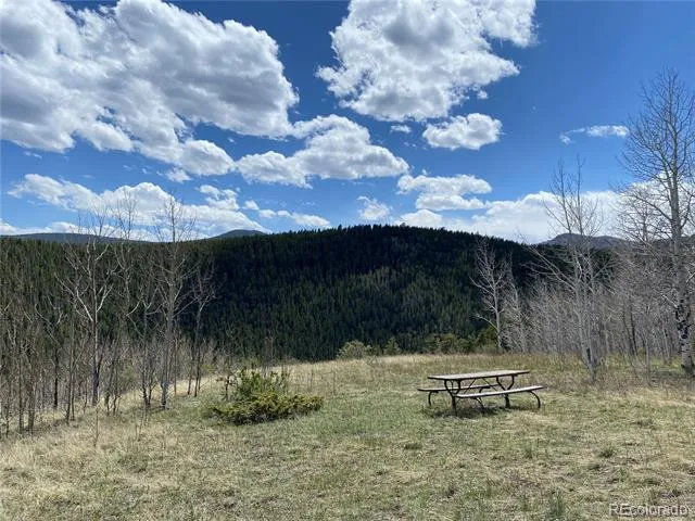 1170 Apex Valley Road Black Hawk, CO 80422