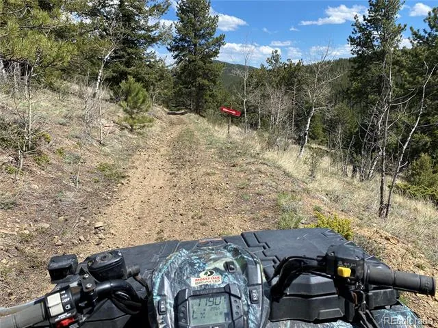 1170 Apex Valley Road Black Hawk, CO 80422