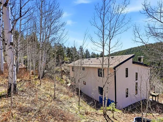 1170 Apex Valley Road Black Hawk, CO 80422