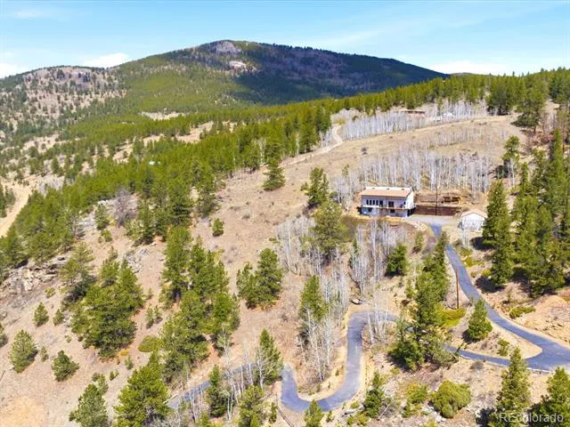 1170 Apex Valley Road Black Hawk, CO 80422