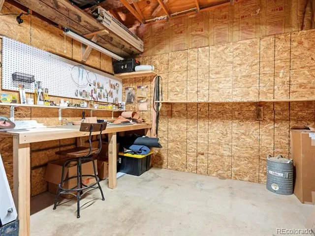 1170 Apex Valley Road Black Hawk, CO 80422