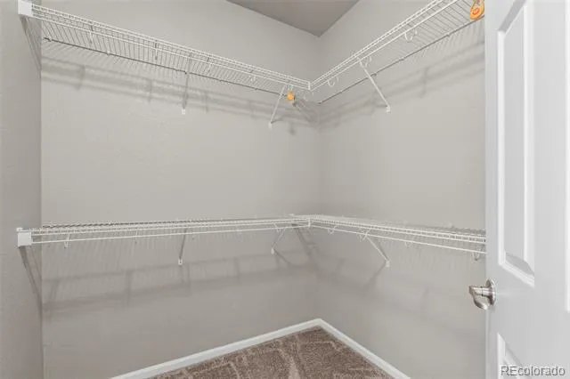 10832 Darneal Drive Fountain, CO 80817