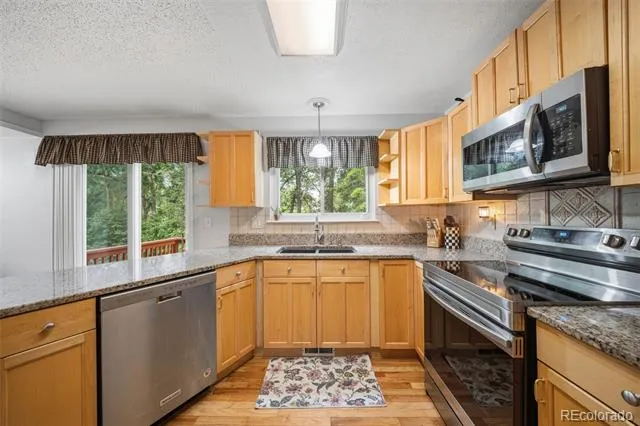 202 Blanca Court Colorado Springs, CO 80919