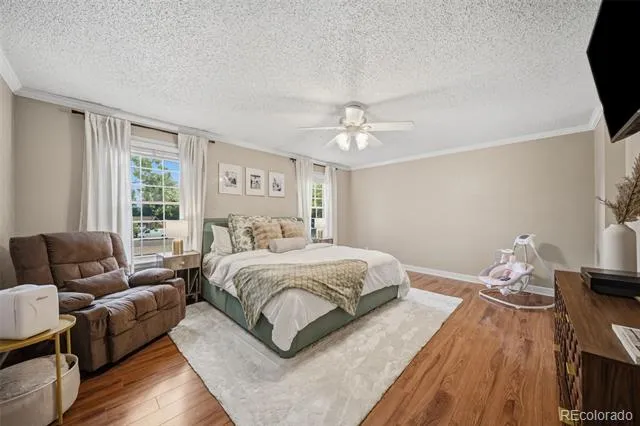 202 Blanca Court Colorado Springs, CO 80919