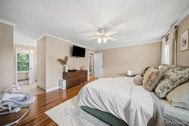 202 Blanca Court Colorado Springs, CO 80919
