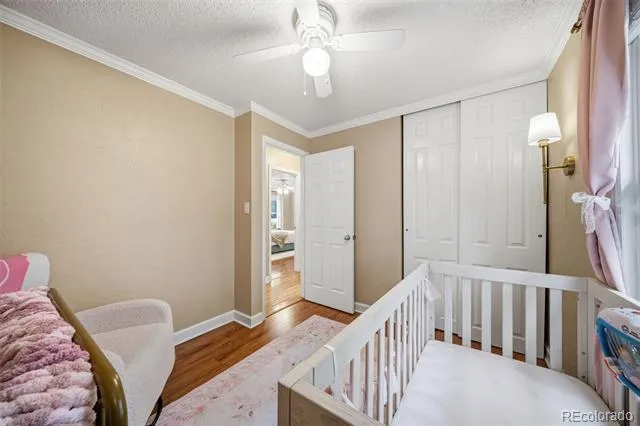 202 Blanca Court Colorado Springs, CO 80919