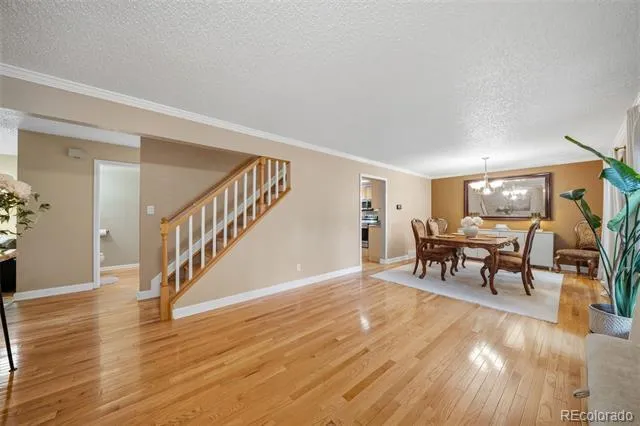 202 Blanca Court Colorado Springs, CO 80919