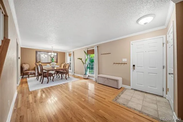 202 Blanca Court Colorado Springs, CO 80919