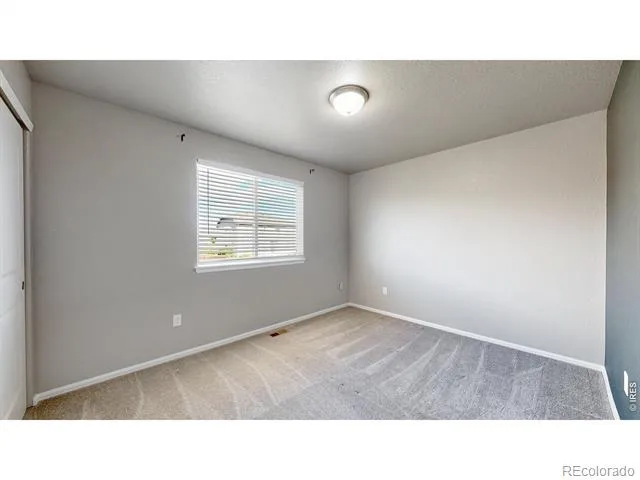 7383 Andover Street Wellington, CO 80549