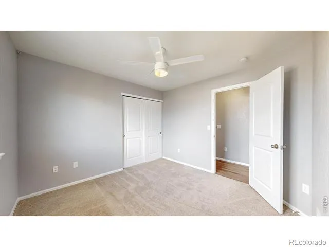 7383 Andover Street Wellington, CO 80549
