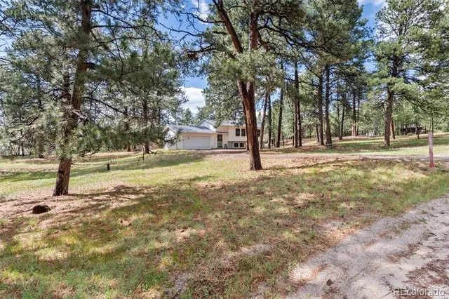 33879 Meadowlark Drive Elizabeth, CO 80107