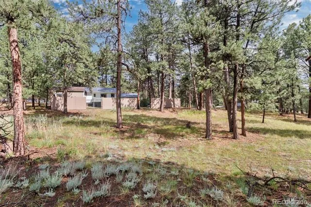 33879 Meadowlark Drive Elizabeth, CO 80107