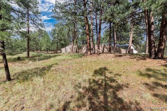 33879 Meadowlark Drive Elizabeth, CO 80107