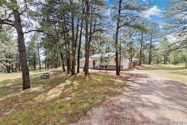 33879 Meadowlark Drive Elizabeth, CO 80107