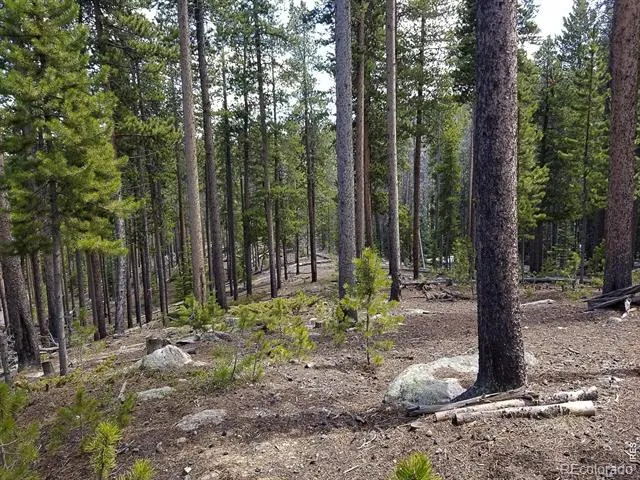 274 Arapahoe Way Red Feather Lakes, CO 80545