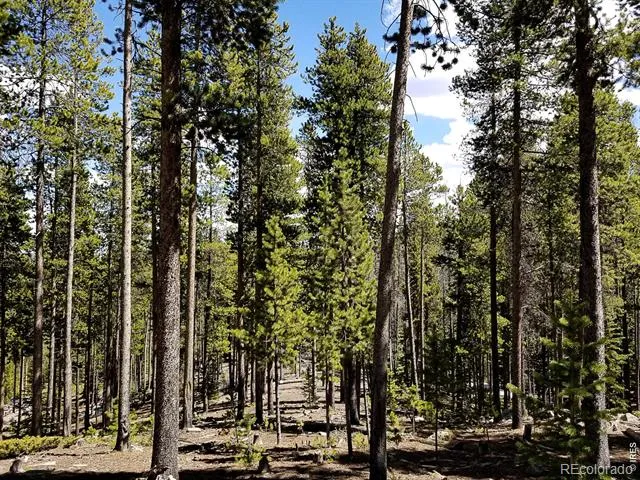 274 Arapahoe Way Red Feather Lakes, CO 80545