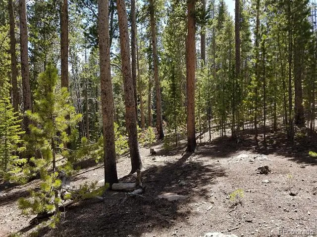 274 Arapahoe Way Red Feather Lakes, CO 80545
