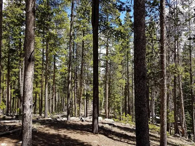 274 Arapahoe Way Red Feather Lakes, CO 80545