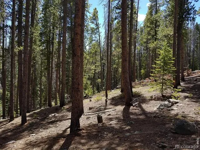 274 Arapahoe Way Red Feather Lakes, CO 80545