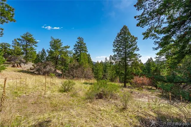22668 Shawnee Road Indian Hills, CO 80454