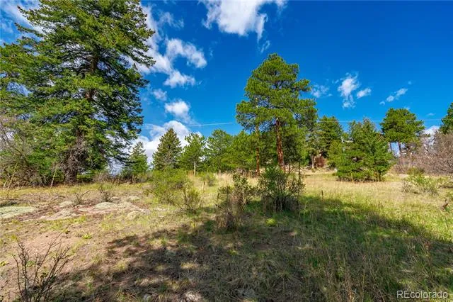 22668 Shawnee Road Indian Hills, CO 80454
