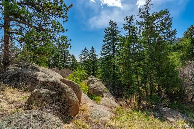 22668 Shawnee Road Indian Hills, CO 80454
