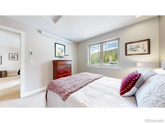 296 Elkridge Road Red Feather Lakes, CO 80545