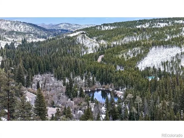 296 Elkridge Road Red Feather Lakes, CO 80545