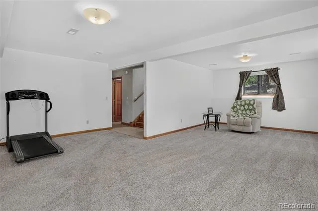 71 Columbine Drive Bailey, CO 80421
