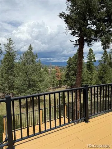 71 Columbine Drive Bailey, CO 80421
