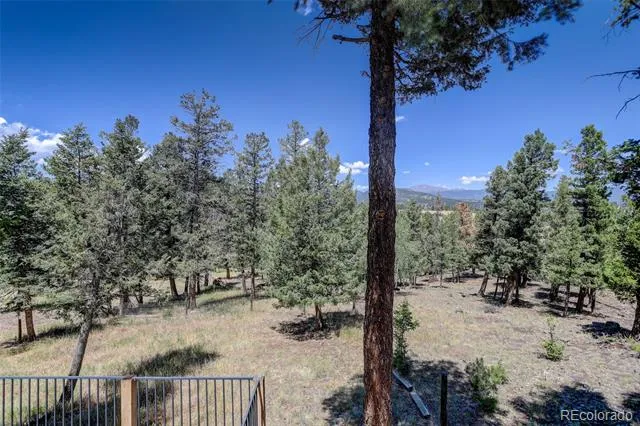71 Columbine Drive Bailey, CO 80421