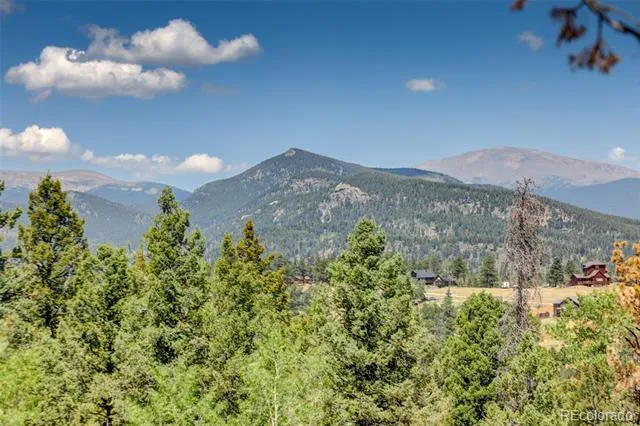 71 Columbine Drive Bailey, CO 80421