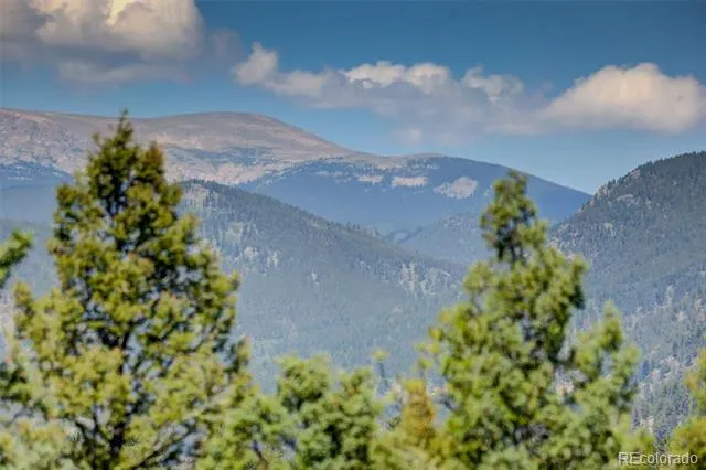 71 Columbine Drive Bailey, CO 80421