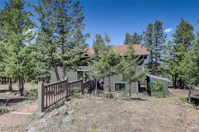71 Columbine Drive Bailey, CO 80421
