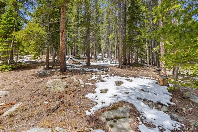 218 Brook Drive Idaho Springs, CO 80452