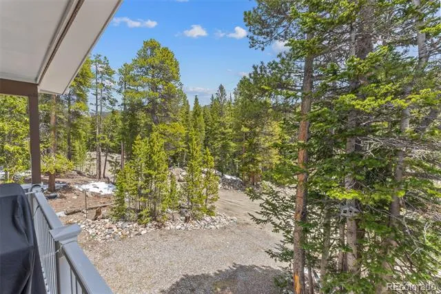 218 Brook Drive Idaho Springs, CO 80452