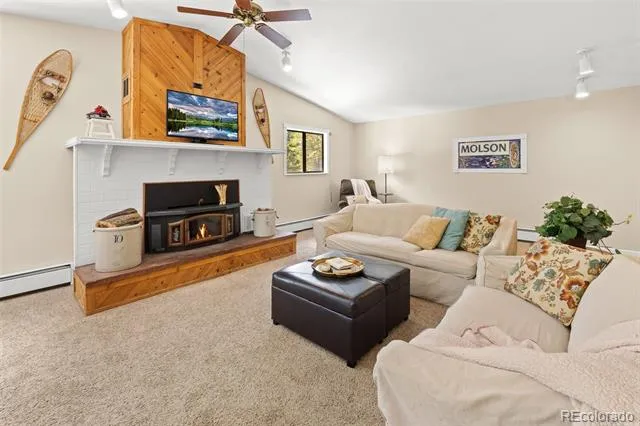 218 Brook Drive Idaho Springs, CO 80452