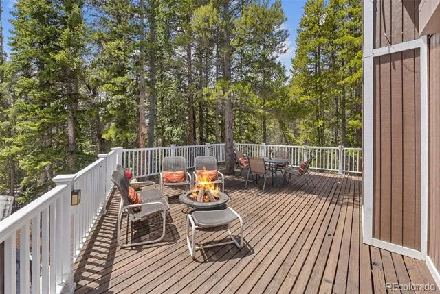218 Brook Drive Idaho Springs, CO 80452