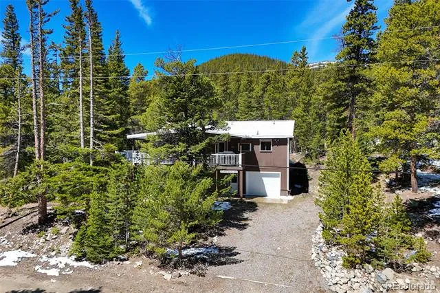 218 Brook Drive Idaho Springs, CO 80452