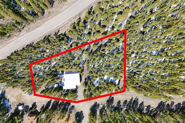 218 Brook Drive Idaho Springs, CO 80452