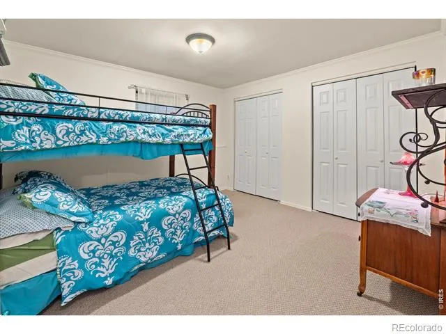 218 Brook Drive Idaho Springs, CO 80452