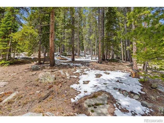218 Brook Drive Idaho Springs, CO 80452