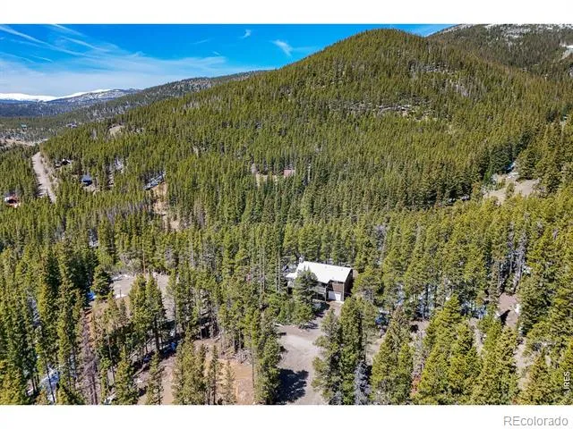 218 Brook Drive Idaho Springs, CO 80452