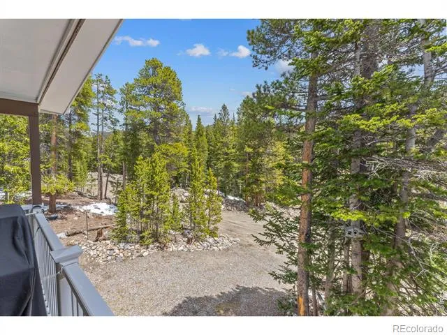 218 Brook Drive Idaho Springs, CO 80452